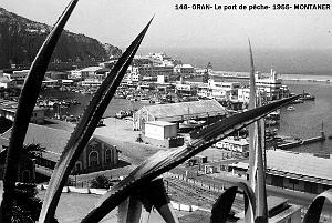 148- Oran- Le port de peche- 1955- inconnu